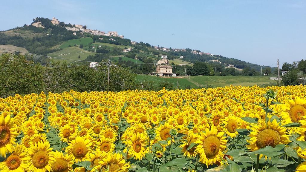 B&B Antica Fonte Del Latte Santa Vittoria in Matenano Exteriér fotografie